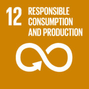 E_SDG goals_icons-individual-cmyk-12