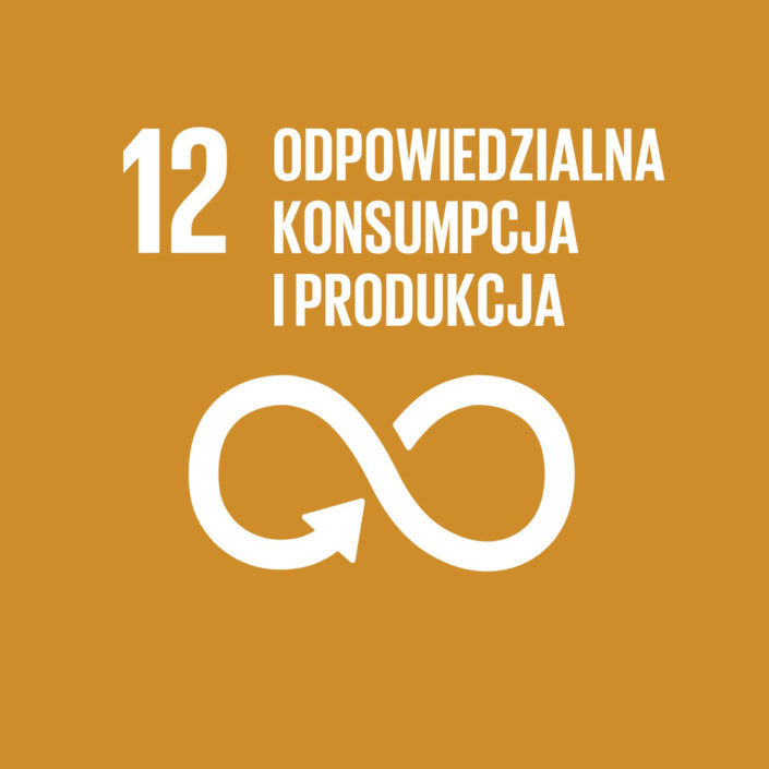 12-odpowiedzialna-konsumpcja-produkcja