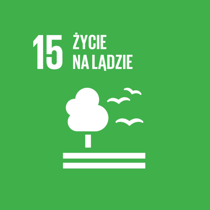 15-zyicie-na-ladzie