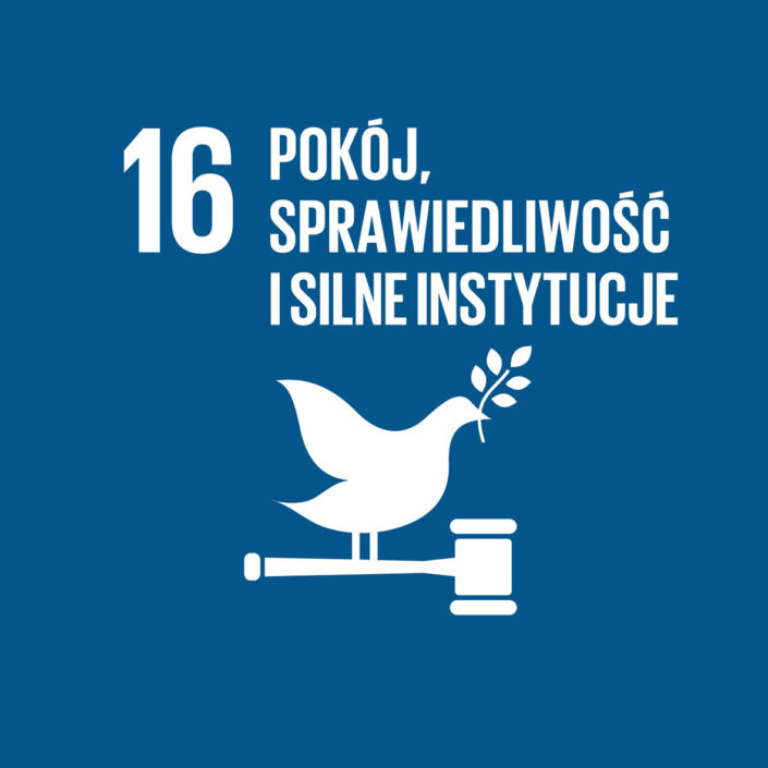 16-pokoj-sprawiedliwosc-instytucje